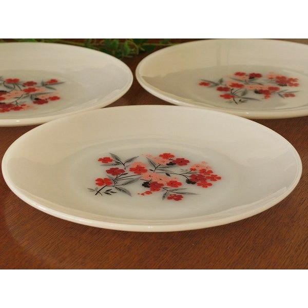 FIREKING ファイヤーキング プリムローズ ディナープレート 23cm : SK