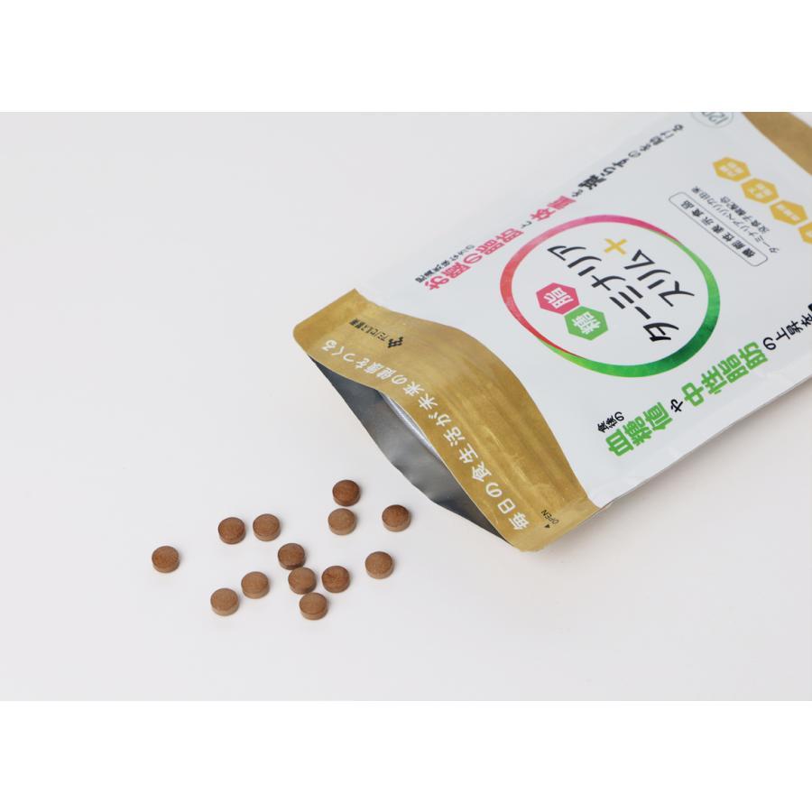 ターミナリアスリム＋(プラス) 120錠 約30日分 機能性表示食品 中性