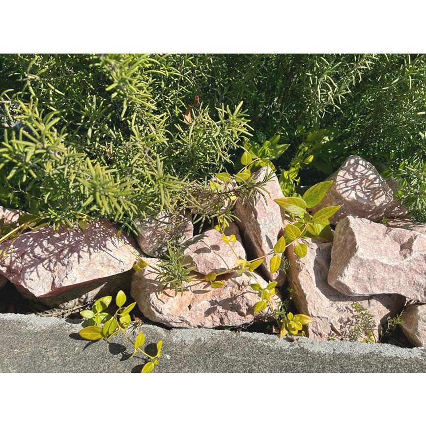 庭石 ロックガーデン 石 大 割栗石 クラッシュロック ロックガーデン用