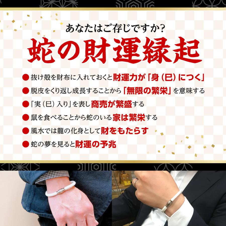 財運白蛇ブレス】へび 巳年 ブレスレット 金運 開運 : 水晶院shop