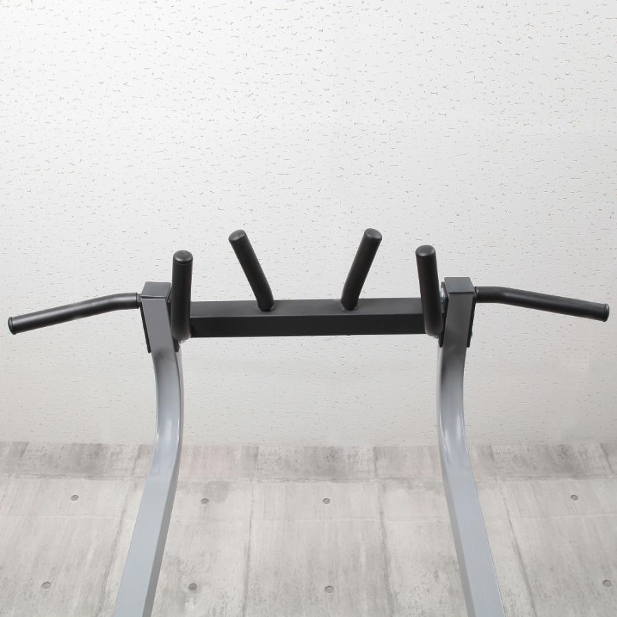 IROTEC（アイロテック） 懸垂 NEWチン&ディップスタンドEX / 懸垂