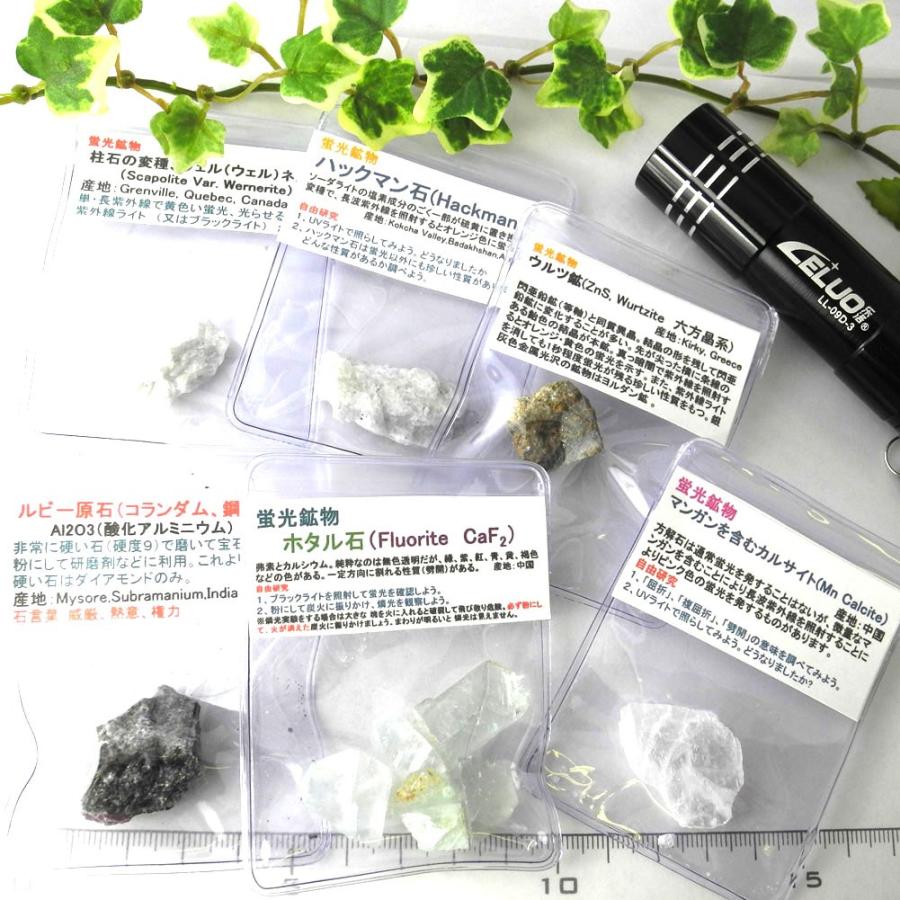 蛍光鉱物 観察セット カルサイト 紫外線ライトつき 原石 産地 長野県