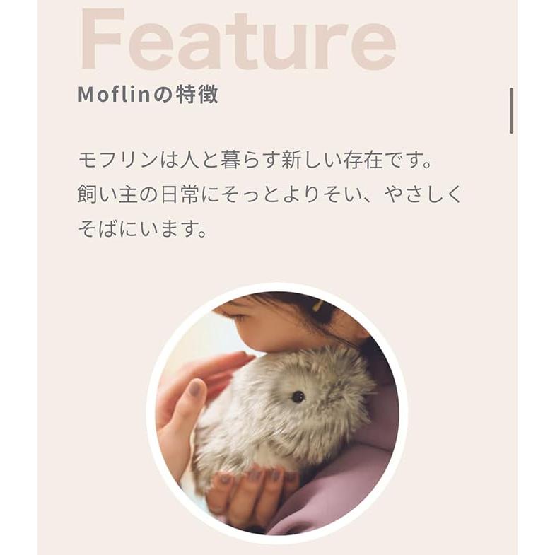CASIO（カシオ） Moflin モフリン AIペット ゴールド
