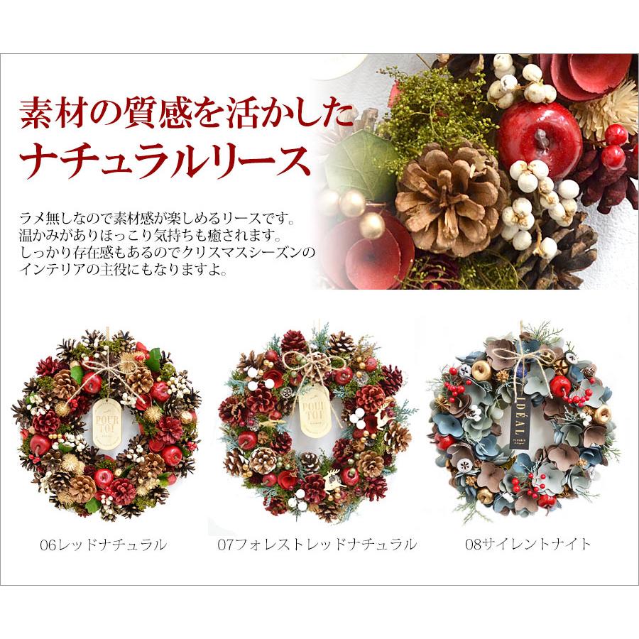 2025年 クリスマスリース Lサイズ 直径約33cm 選べる9種類 ドライ