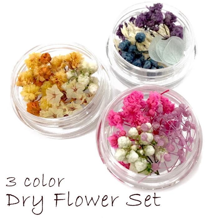 ドライフラワー (27) 3色ケースセット 花材 ブーケ レジン