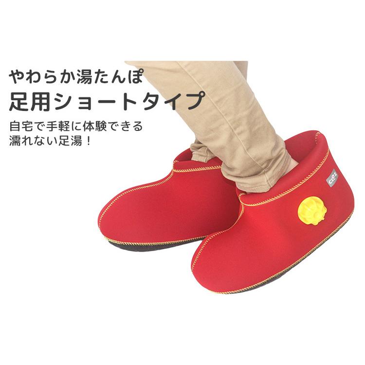 クロッツ やわらか湯たんぽ 足用ショートタイプ : PassageShop - 通販