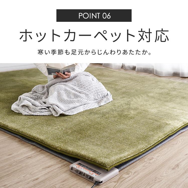 IRIS OHYAMA（アイリスオーヤマ） ラグ カーペット ラグマット 3畳