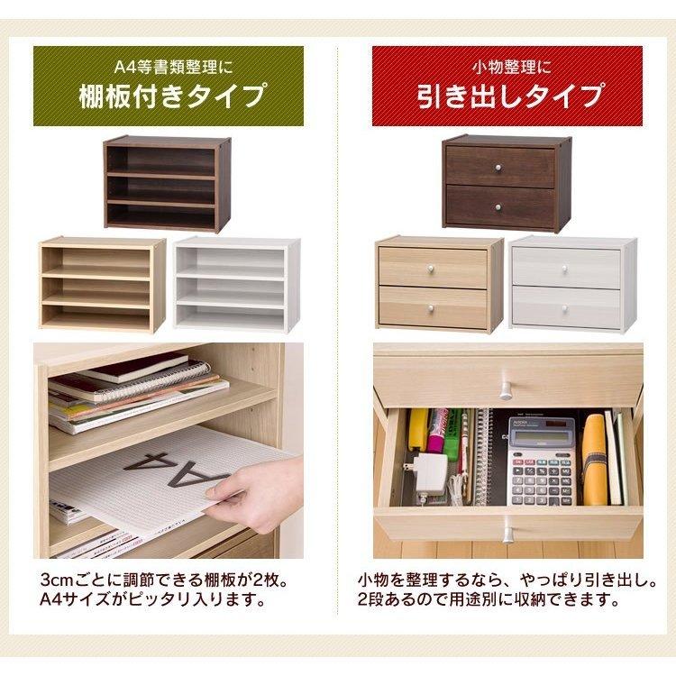 IRIS OHYAMA（アイリスオーヤマ） カラーボックス 収納 扉 おしゃれ