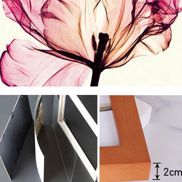 3枚セット 33×43cm アートパネル 枠付きフレーム絵画 植物 ボタニカル