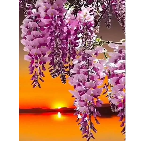 中級 フル ダイヤモンドアート キット ビーズ刺繍 夕日と藤