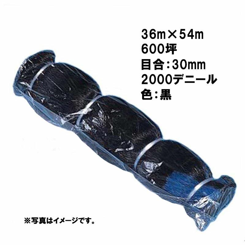 国産 防鳥網 36m×54m 600坪 30mm 目合 2000デニール 黒 防鳥ネット 小