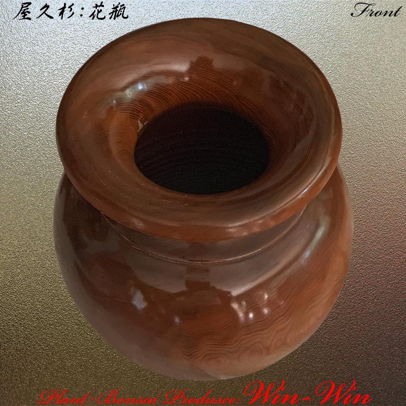 2020年 屋久杉 シンプルデザインの花瓶・壺 No1 : PLANT・BONSAI