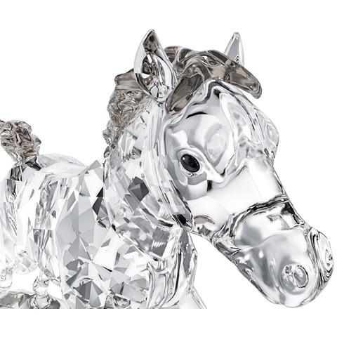 SWAROVSKI（スワロフスキー） 『SCS ヤングホース』 5004729