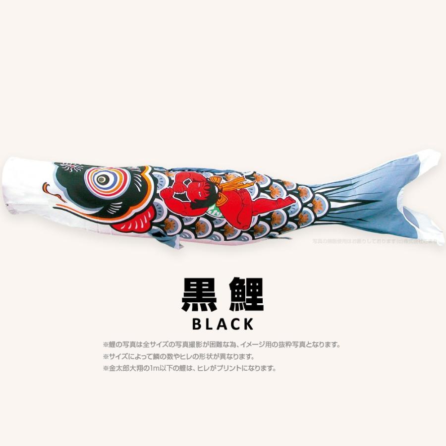 こいのぼり 単品 金太郎太翔 6m 単品鯉 黒 : 節句&ギフト専門店 ぷりふ