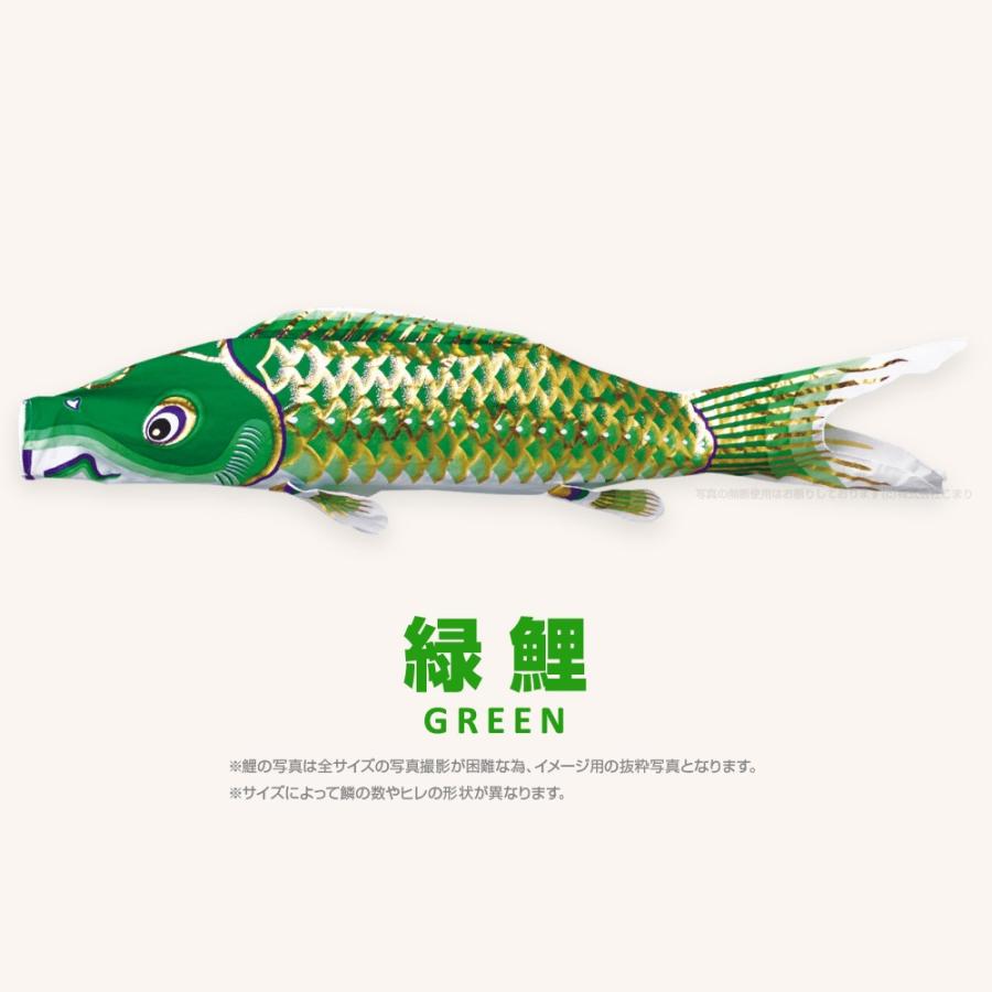 こいのぼり 単品 江戸錦鯉 3m 単品鯉 : 節句&ギフト専門店 ぷりふあ