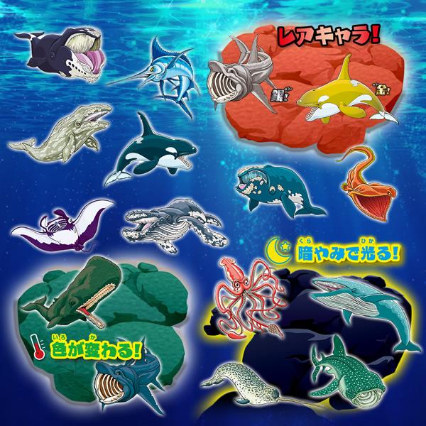 1BOX／8袋】くじら＆Co.ビッグ 全16種 8袋入りWHALES＆Co. [子供