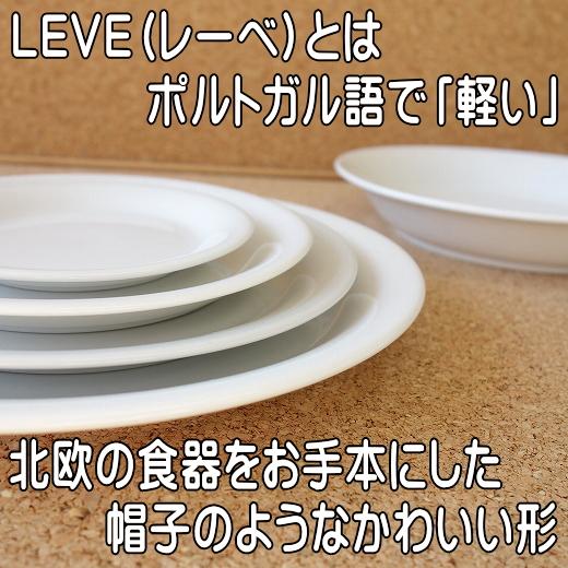 大鉢 軽い 皿 食器 大きい 軽量 レーべ 21cm ボウル サラダ 大 レンジ