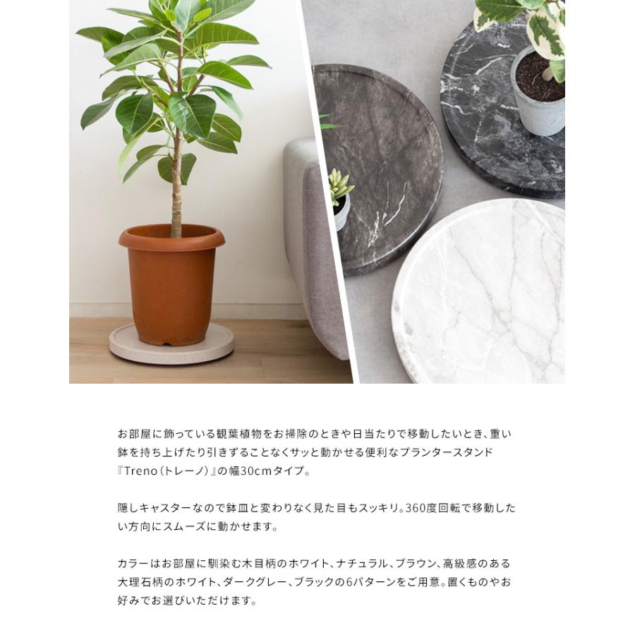 プランタープレート 受け皿 円形 幅30 キャスター付き 植木鉢 加湿器