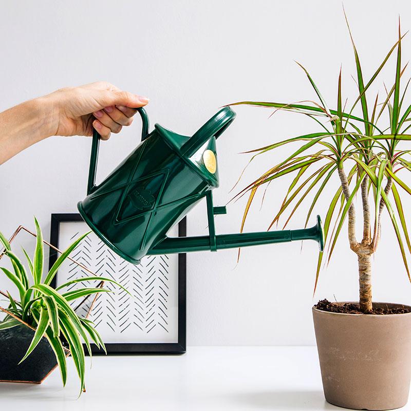 プラスチック製ジョウロ 1L HAWS ホーズ Heritage Indoor 1L (メーカー