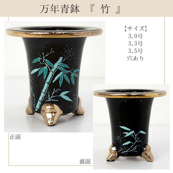 ◇京楽焼窯元「愛楽園」直送◇『万年青鉢(おもと鉢) 梅(黒鉢)・梅(白鉢