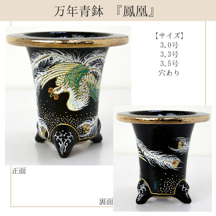 ◇京楽焼窯元「愛楽園」直送◇『万年青鉢（おもと鉢） 虎・新龍・鳳凰