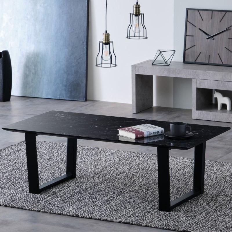 一生紀 センターテーブル 幅110 ローテーブル 大理石調 モノトーン 机