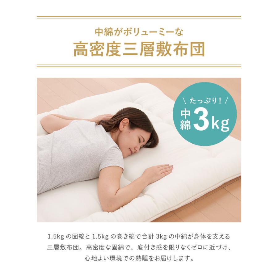 TEIJIN（テイジン） 国産 布団セット シングル 3点セット 抗菌防臭 防