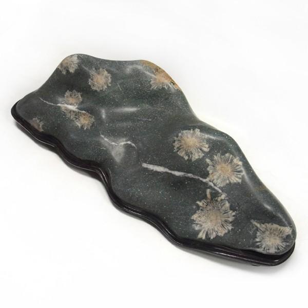 菊花石 約14.5kg 台付き 鑑賞石 原石 鉱物 鉱石 天然石 パワーストーン