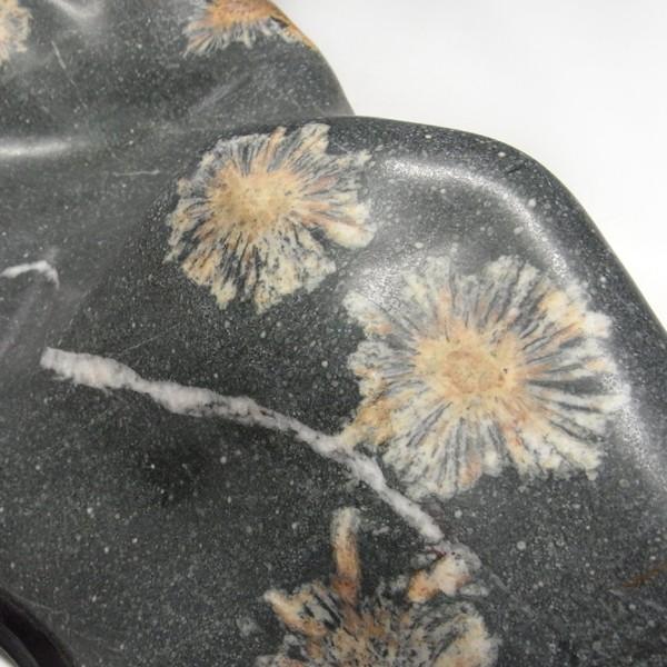 菊花石 約14.5kg 台付き 鑑賞石 原石 鉱物 鉱石 天然石 パワーストーン