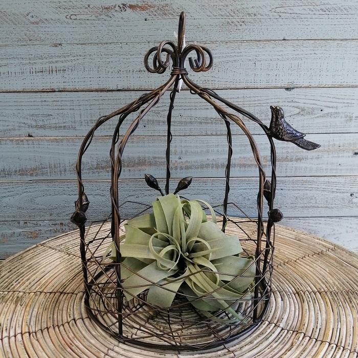 ガーデニング 雑貨 プランツケージ バードケージ 鳥かご 庭 ガーデン