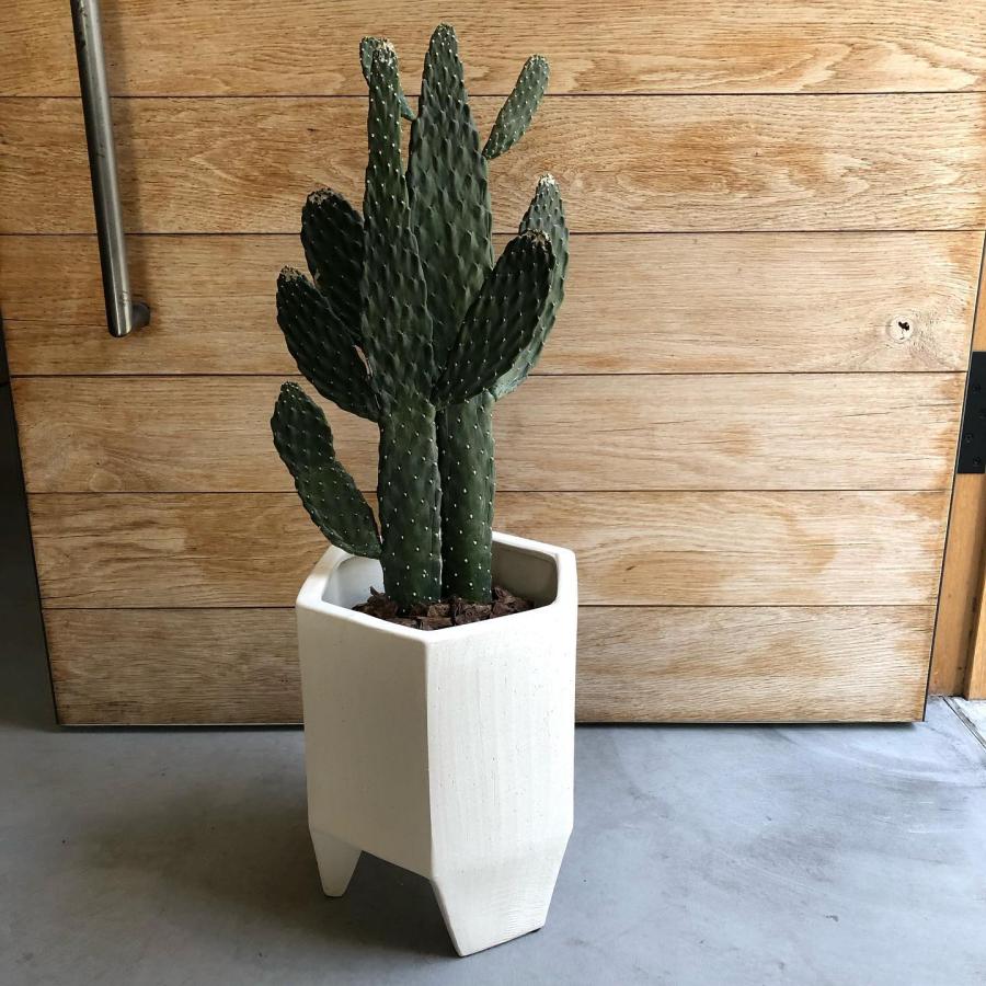 鉢 ポット ヘキサゴン 六角形 プランター 植木鉢 角型 おしゃれ 六角型