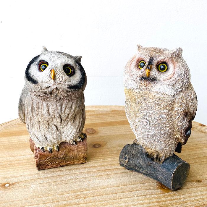 ルック・ブランチオウル ブレイク・ブランチオウル 梟 ふくろう