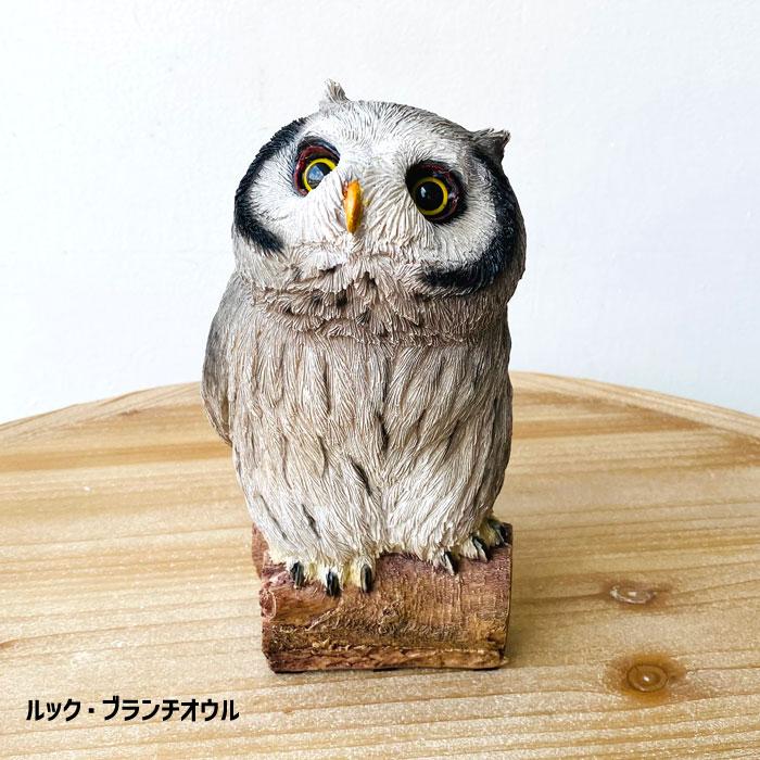 ルック・ブランチオウル ブレイク・ブランチオウル 梟 ふくろう