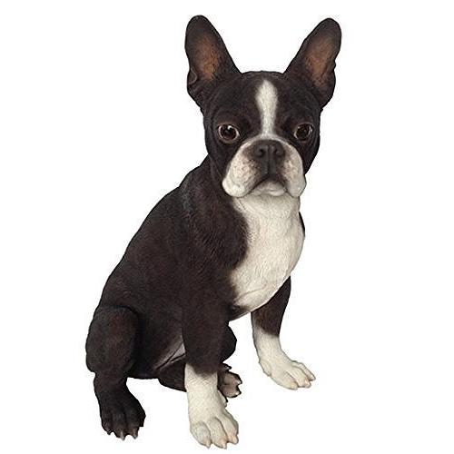 ボストンテリア（Boston Terrier） 犬の置物・オブジェ : ワールド輸入