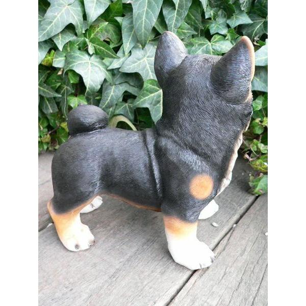 犬の置物 黒柴犬 9280h おまけ付 いぬ イヌ 動物 ガーデン