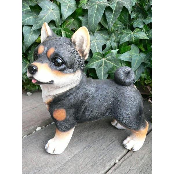 犬の置物 黒柴犬 9280h おまけ付 いぬ イヌ 動物 ガーデン