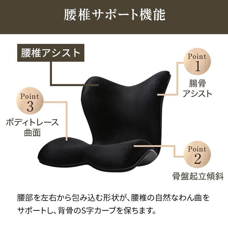 新品未使用】正規品 MTG 骨盤 姿勢ケア Style PREMIUM DX YA-AM03A