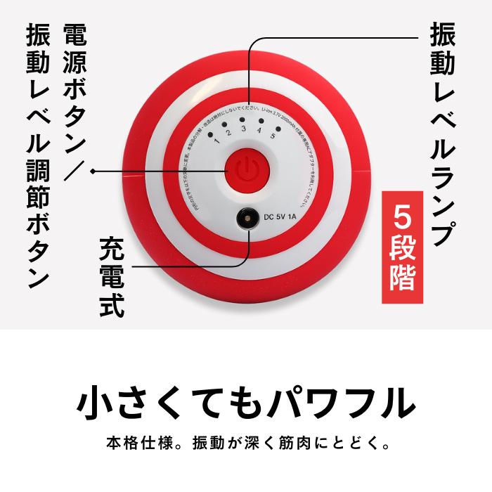 Re スタイリーボール フィットネスクラブがつくった レッド ネイビー