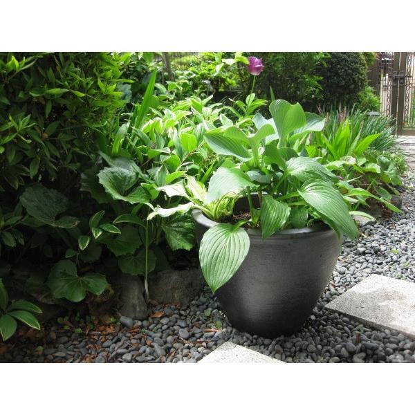 信楽焼 植木鉢 雅 丸型30サイズ 黒 大型 陶器製 鉢 おしゃれ 和風 日本