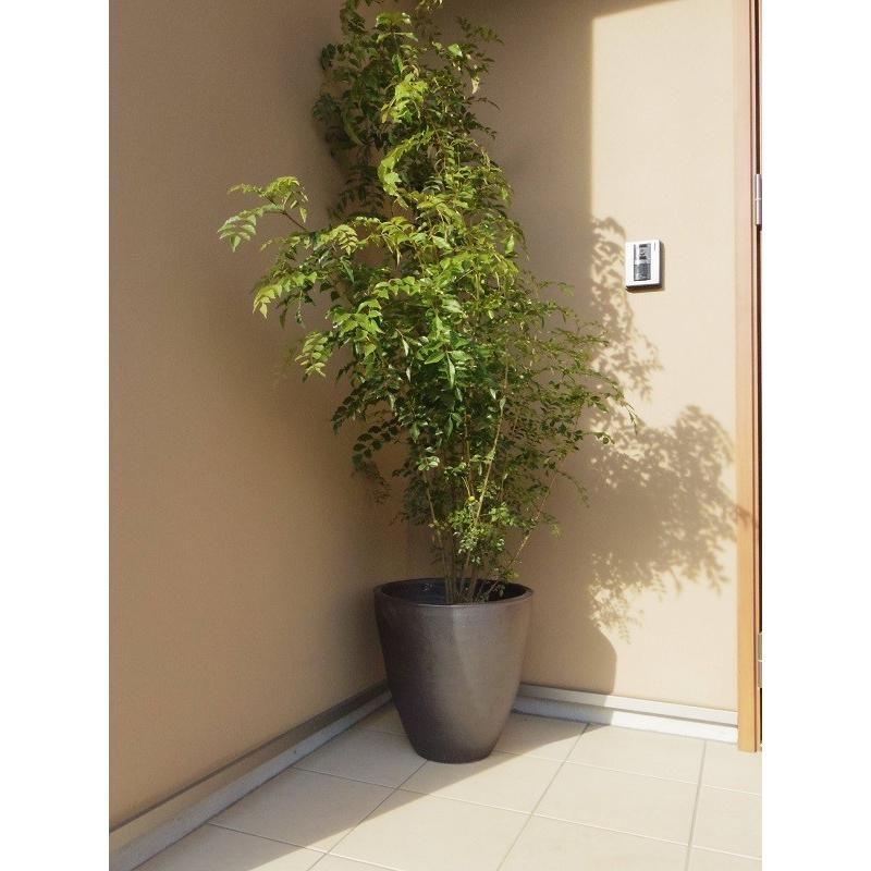 信楽焼 植木鉢 雅 丸型40サイズ 黒 大型 陶器製 鉢 おしゃれ 和風 日本