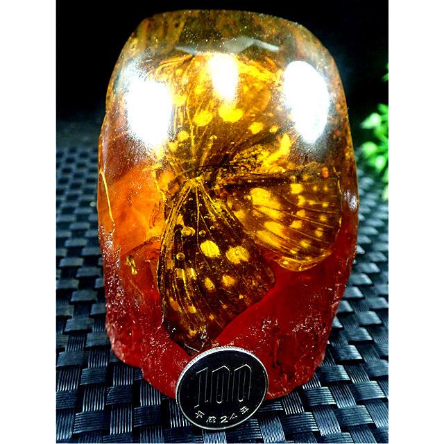 工芸品☆高級（アンバー)琥珀(蝶入り)原石168R3-48R24D : 水晶開運堂