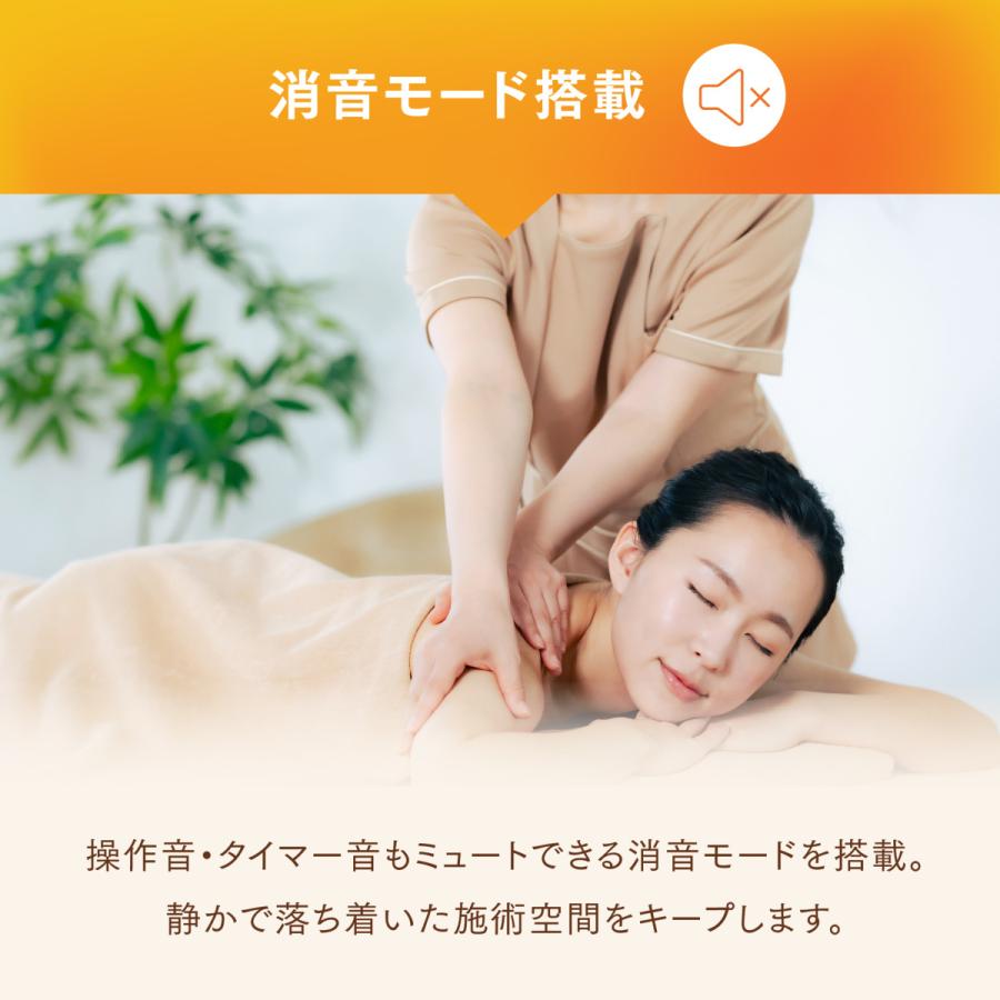 トワテック 【無孔】TWヒートマット ベッド 消音モード付き エステ