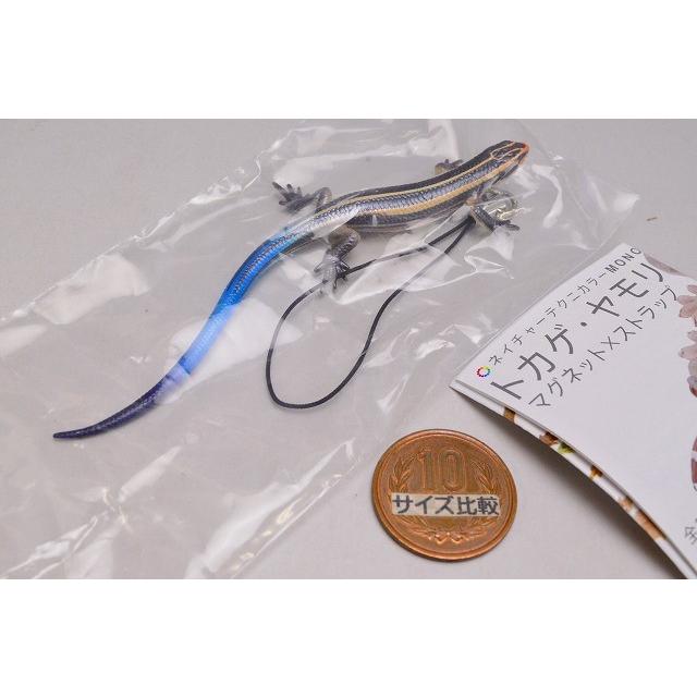 ネイチャーテクニカラーMONO トカゲ・ヤモリ マグネット×ストラップ