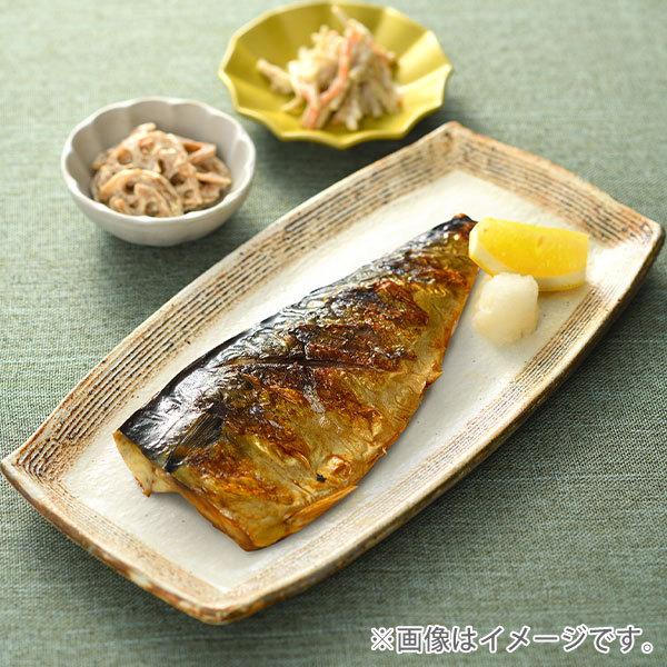 オークス（AUX） 大人の焼魚 炭グリル OTS8010 魚焼き器 フライパン 炭
