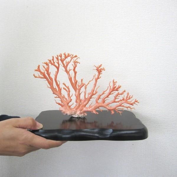 ピンク（ガーネ）珊瑚の置物/原木/拝見/（艶出し加工済み）/『宝石