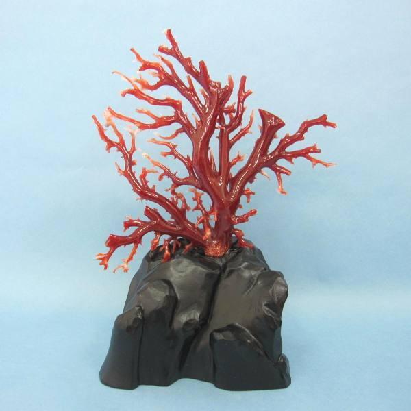 高知沖産血赤珊瑚の拝見・原木・置物/艶出し加工済み/黒檀台/『宝石