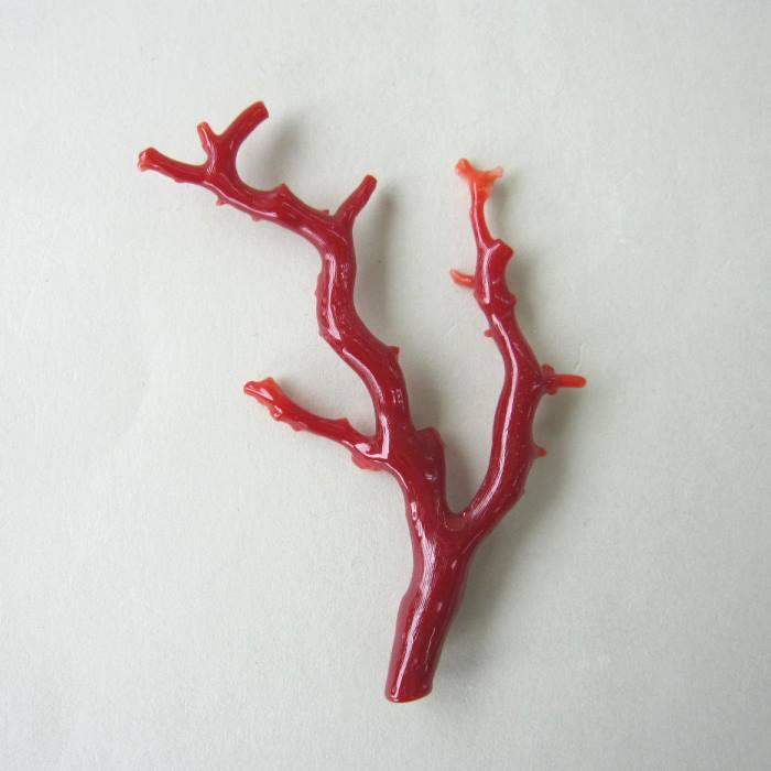 日本 高知沖産血赤珊瑚 拝見 置き物 原木 置物 飾り台付 開運 枝 宝石