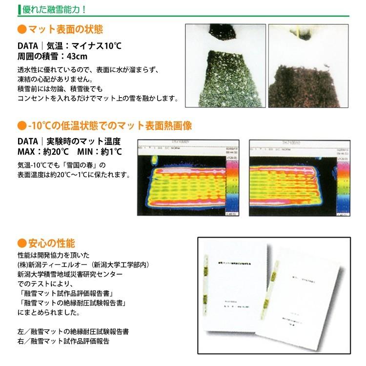 融雪マット 歩道用Aタイプ 単品 1000×500×20mm [雪国の春] : 太平