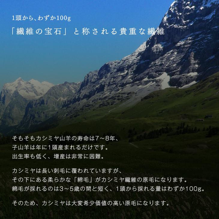 タンスのゲン 毛布 カシミヤ 100％ シングル 日本製 暖かい 軽量 掛け