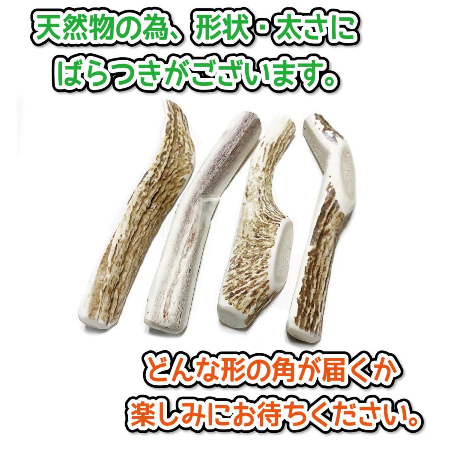 鹿の角 中型 犬 用 鹿角さん 四つ割り2本セット 天然 無添加 北海道産